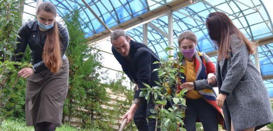 В Острозькій академії до Дня захисника України висадили сакури