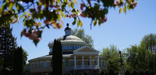 В Острозькій академії розквітли сакури