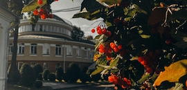 В Острозькій академії оголосили результати фотоконкурсу «Миті в ОА»
