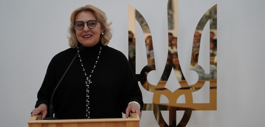 Французькі розробники й волонтери презентували проєкт «Гра та правила, або Правила гри» в Острозькій академії